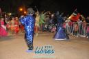 lbum de fotos de la primer noche de corso popular