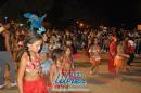 lbum de fotos de la primer noche de corso popular