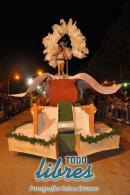 lbum de fotos de la primer noche de corso popular