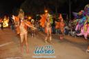 lbum de fotos de la primer noche de corso popular
