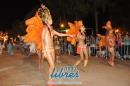 lbum de fotos de la primer noche de corso popular