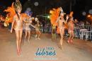 lbum de fotos de la primer noche de corso popular