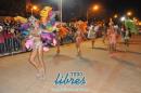 lbum de fotos de la primer noche de corso popular