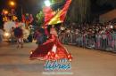 lbum de fotos de la primer noche de corso popular