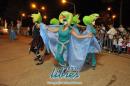 lbum de fotos de la primer noche de corso popular