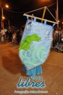 lbum de fotos de la primer noche de corso popular
