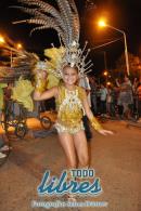 lbum de fotos de la primer noche de corso popular