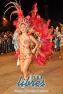 lbum de fotos de la primer noche de corso popular