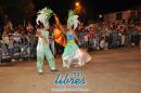 lbum de fotos de la primer noche de corso popular