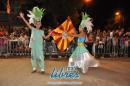lbum de fotos de la primer noche de corso popular