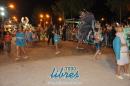 lbum de fotos de la primer noche de corso popular