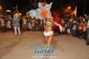 lbum de fotos de la primer noche de corso popular