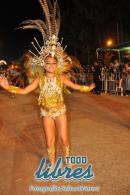 lbum de fotos de la primer noche de corso popular