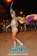 lbum de fotos de la primer noche de corso popular