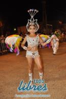 lbum de fotos de la primer noche de corso popular