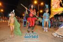 lbum de fotos de la primer noche de corso popular