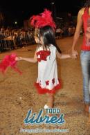 lbum de fotos de la primer noche de corso popular