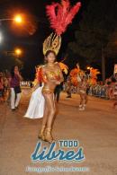 lbum de fotos de la primer noche de corso popular
