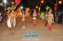 lbum de fotos de la primer noche de corso popular
