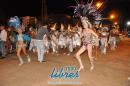 lbum de fotos de la primer noche de corso popular
