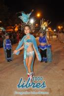 lbum de fotos de la primer noche de corso popular