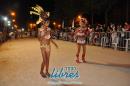 lbum de fotos de la primer noche de corso popular