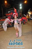 lbum de fotos de la primer noche de corso popular