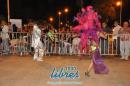 lbum de fotos de la primer noche de corso popular