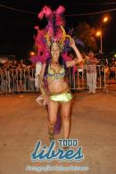 lbum de fotos de la primer noche de corso popular