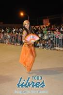 lbum de fotos de la primer noche de corso popular