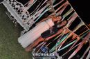 lbum de fotos de los 15 de Felicitas Gomez Malvido en La Cruz