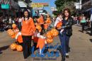 Desfile de Jardines 2015
