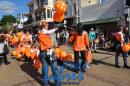 Desfile de Jardines 2015