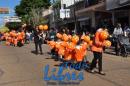 Desfile de Jardines 2015