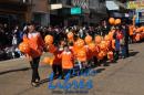 Desfile de Jardines 2015