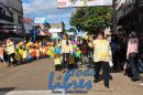 Desfile de Jardines 2015