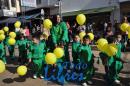 Desfile de Jardines 2015