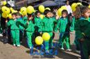 Desfile de Jardines 2015