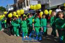 Desfile de Jardines 2015