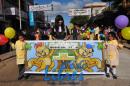 Desfile de Jardines 2015