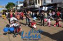 Desfile de Jardines 2015