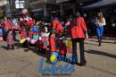Desfile de Jardines 2015