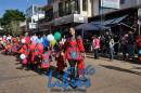 Desfile de Jardines 2015