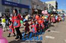 Desfile de Jardines 2015