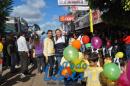 Desfile de Jardines 2015