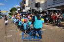 Desfile de Jardines 2015