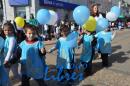 Desfile de Jardines 2015