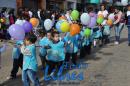 Desfile de Jardines 2015