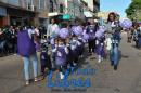 Desfile de Jardines 2015