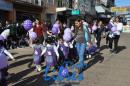 Desfile de Jardines 2015